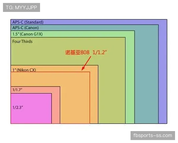 萨卡与福登：英格兰双星成长路径对比分析